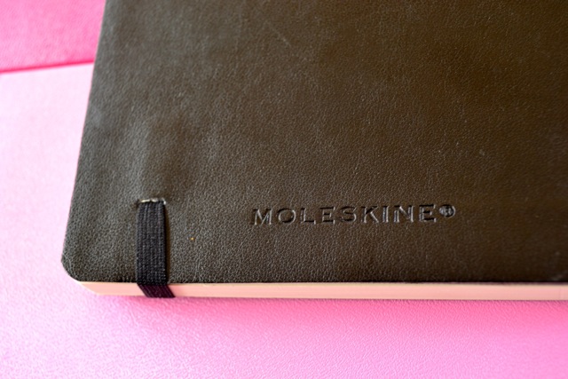 Moleskine Notebooks 2