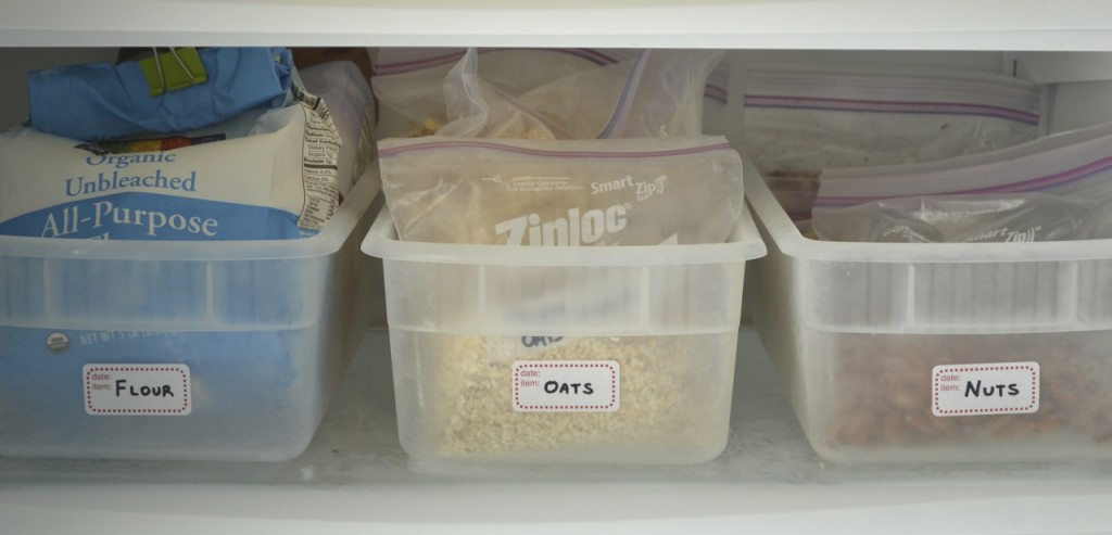 Organization: Freezer