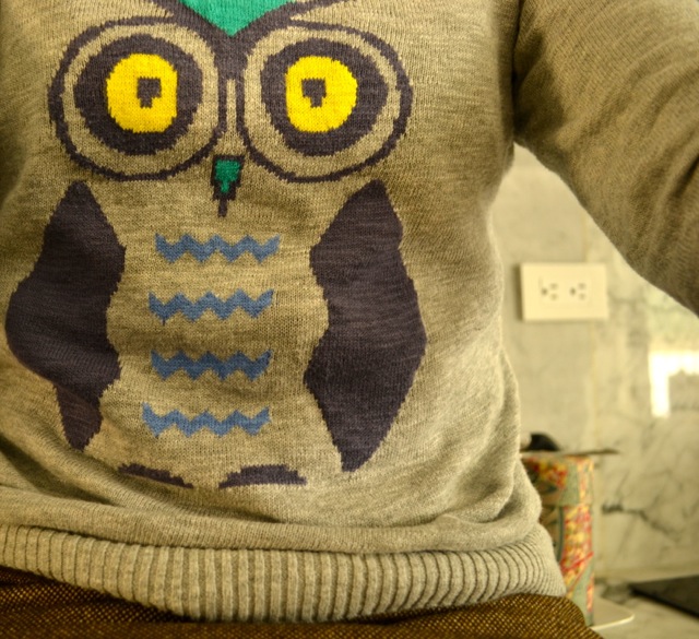 Owl Print Sweater + Mint Shirt 