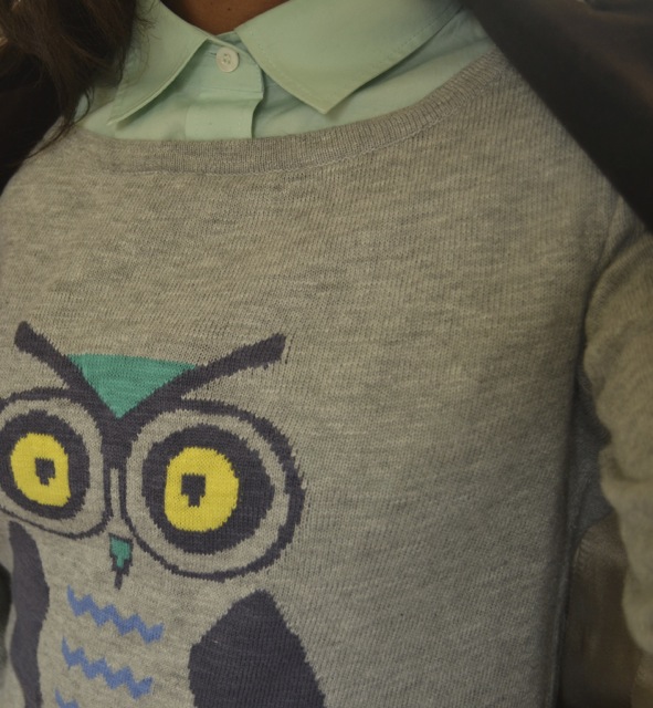 Owl Print Sweater + Mint Shirt 3